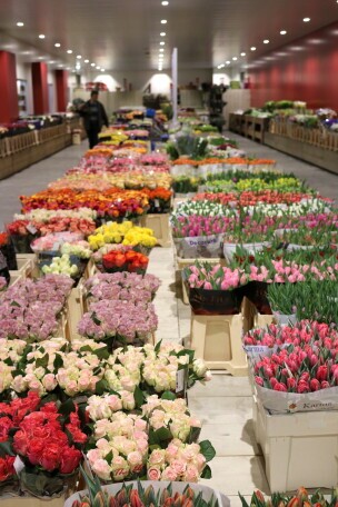Verkäufer:in (m/w/d) Blumen & Pflanzen, 1. Bild