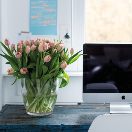 Standortleiter (m/w/d) Schnittblumen & Pflanzen, 1. Bild